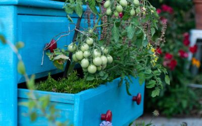 Aménager terrasse 10m2 : les 12 idées pour optimiser l’espace extérieur