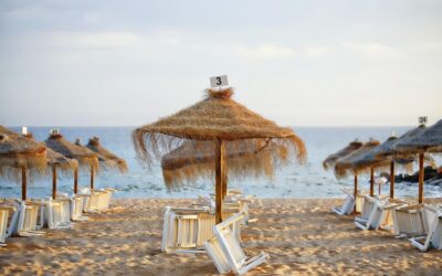 Prix des parasols : comment évaluer la fourchette et le bon rapport qualité-prix ?